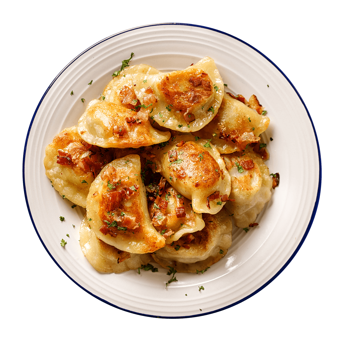 Pan Fried Pierogi with Golden Brown Tops on Blue Rimmed Plate PNG Image