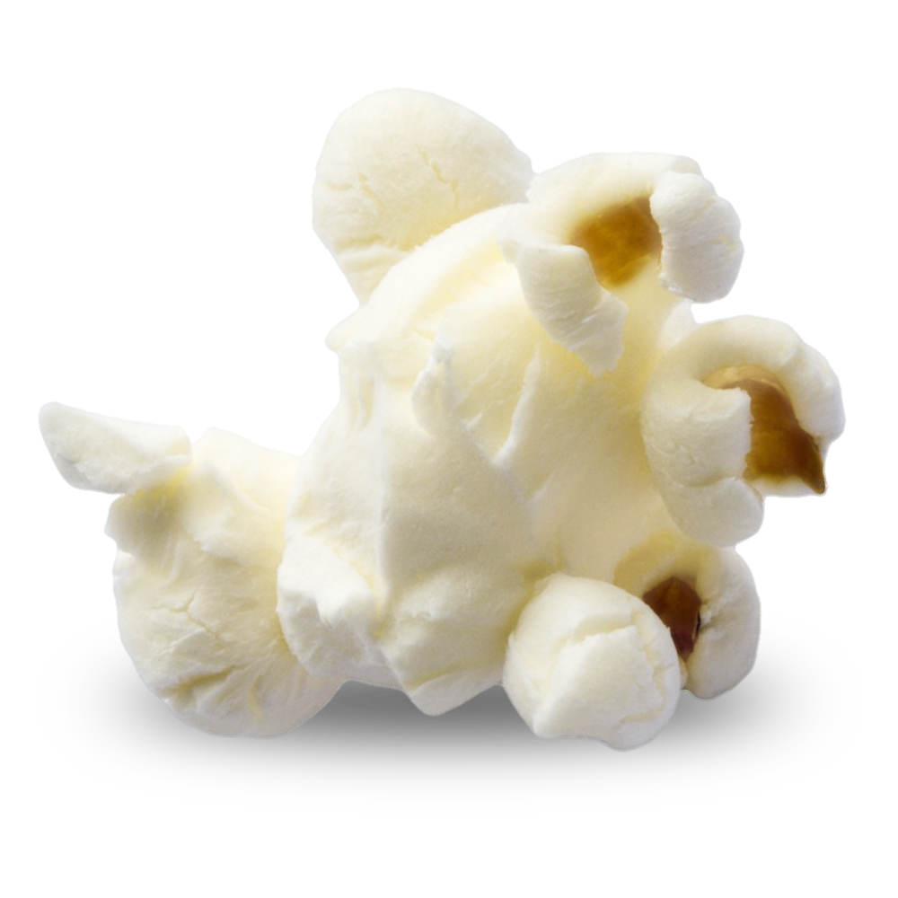 Small Cluster of Fluffy Butter Popcorn Kernels Isolated PNG Cutout