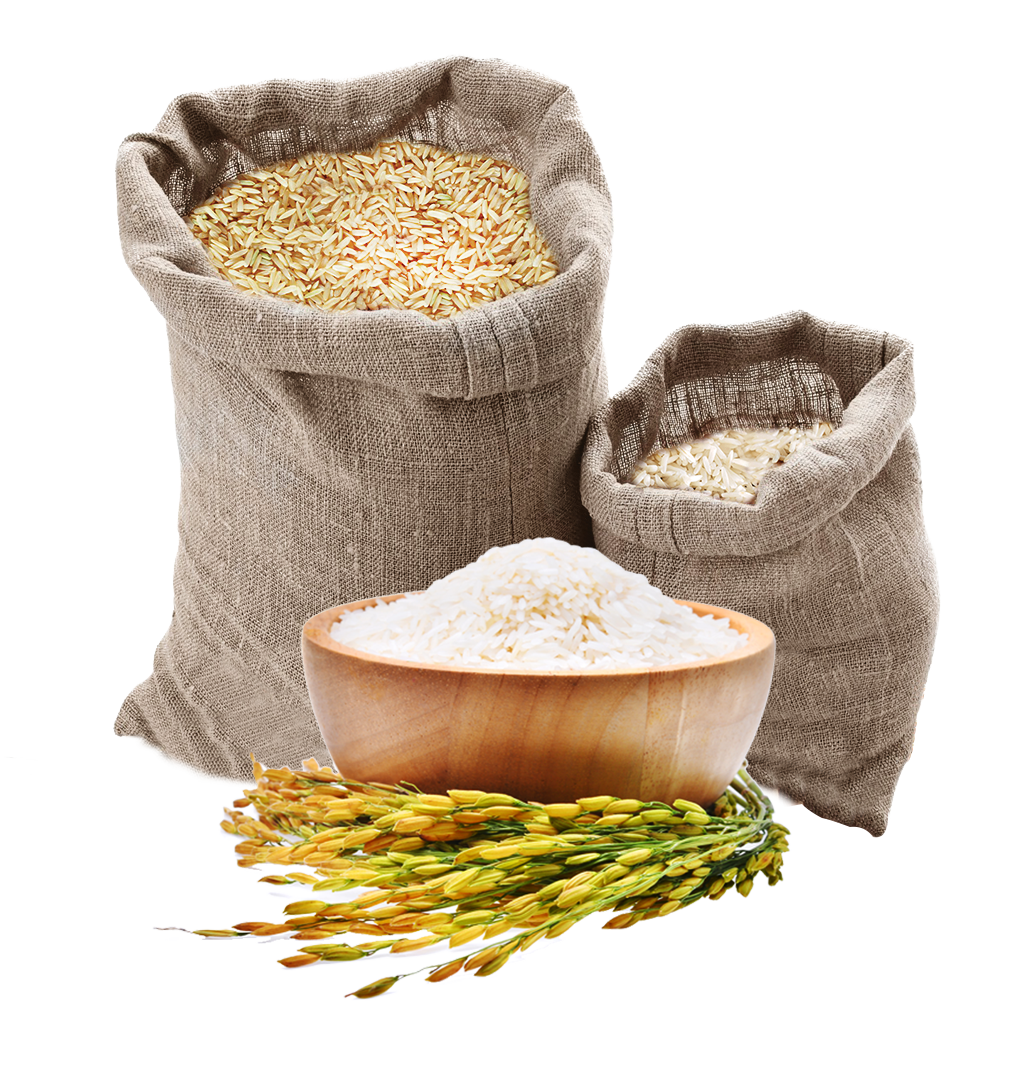 Burlap Rice Sacks with Uncooked Grains Spilling onto Surface PNG Image