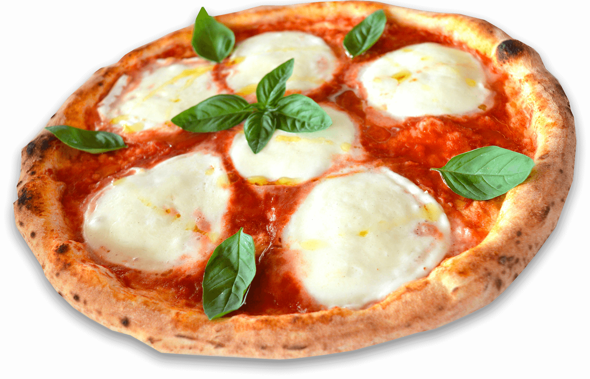Margherita Pizza with Fresh Mozzarella Tomato and Basil PNG Image