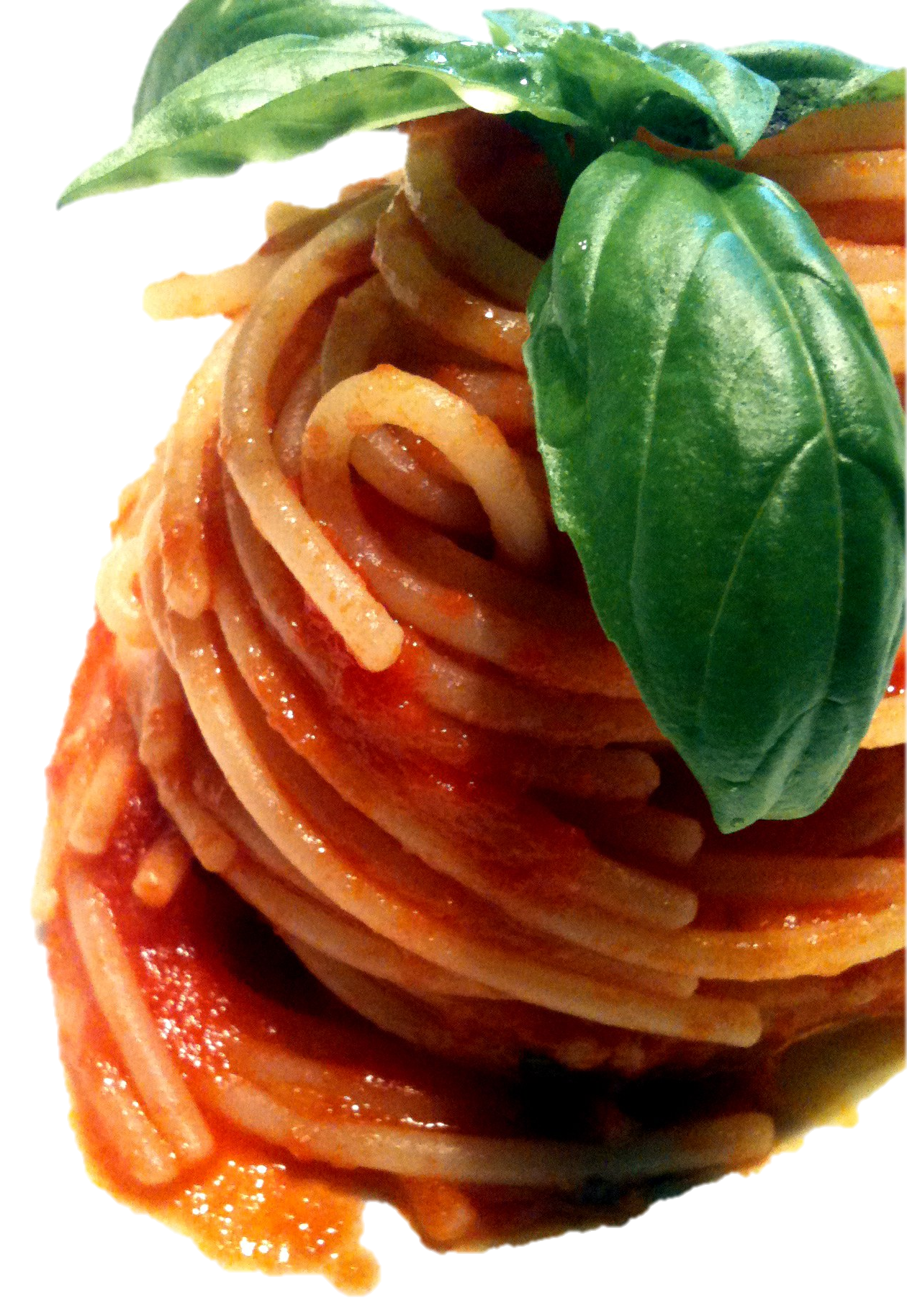 Close Up Spaghetti Bolognese with Tomato Sauce and Fresh Basil PNG Food Cutout
