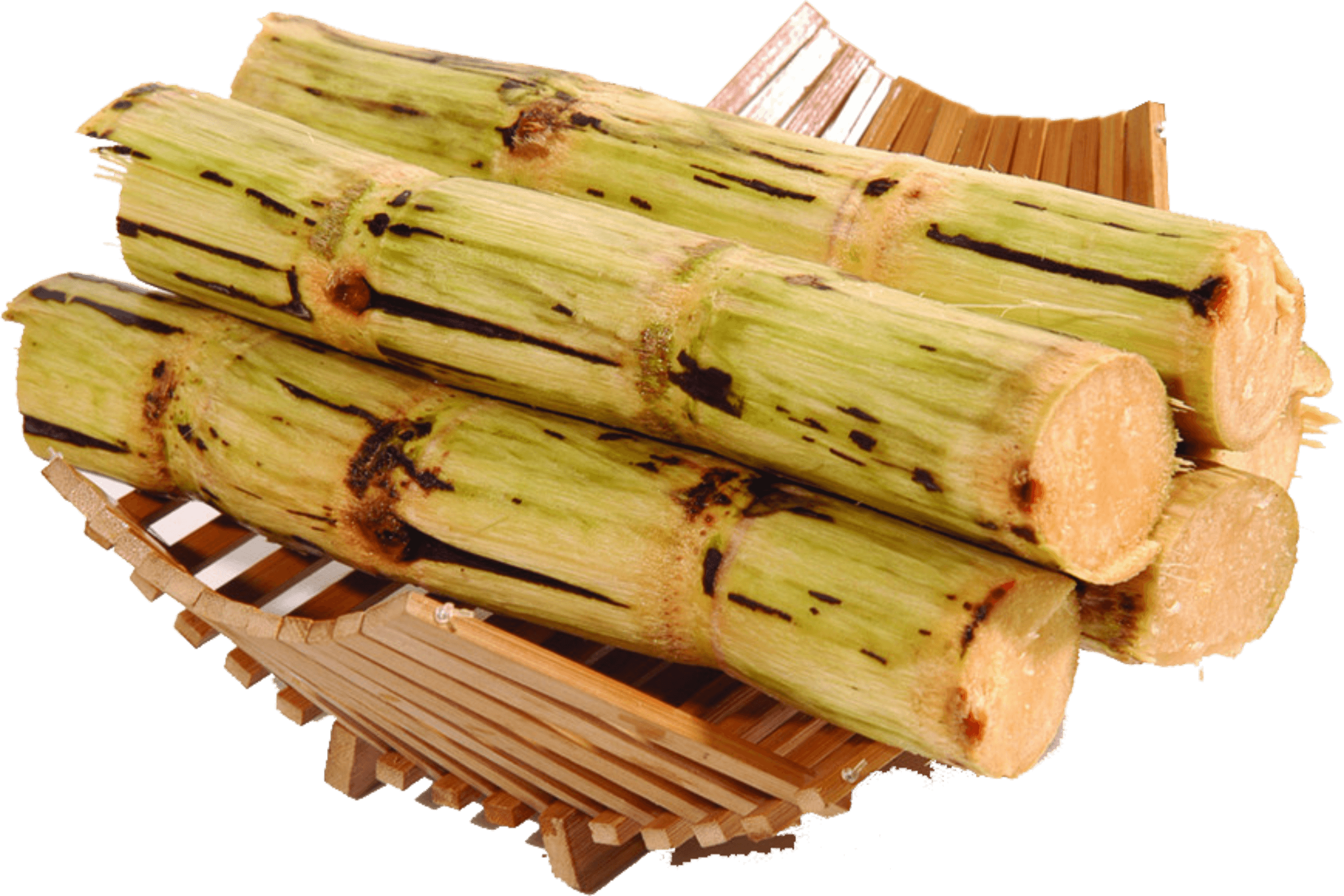 Fresh Cut Sugar Cane Stalks Bundled with Leaves Transparent PNG Photo
