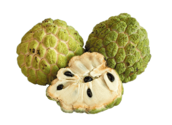 Sugar Apple Custard Fruits with Cut Open Center Isolated PNG Fruit Image