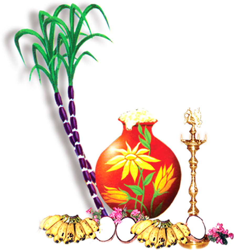 Sugar Cane Harvest and Pomegranate Decorative Illustration PNG Graphic