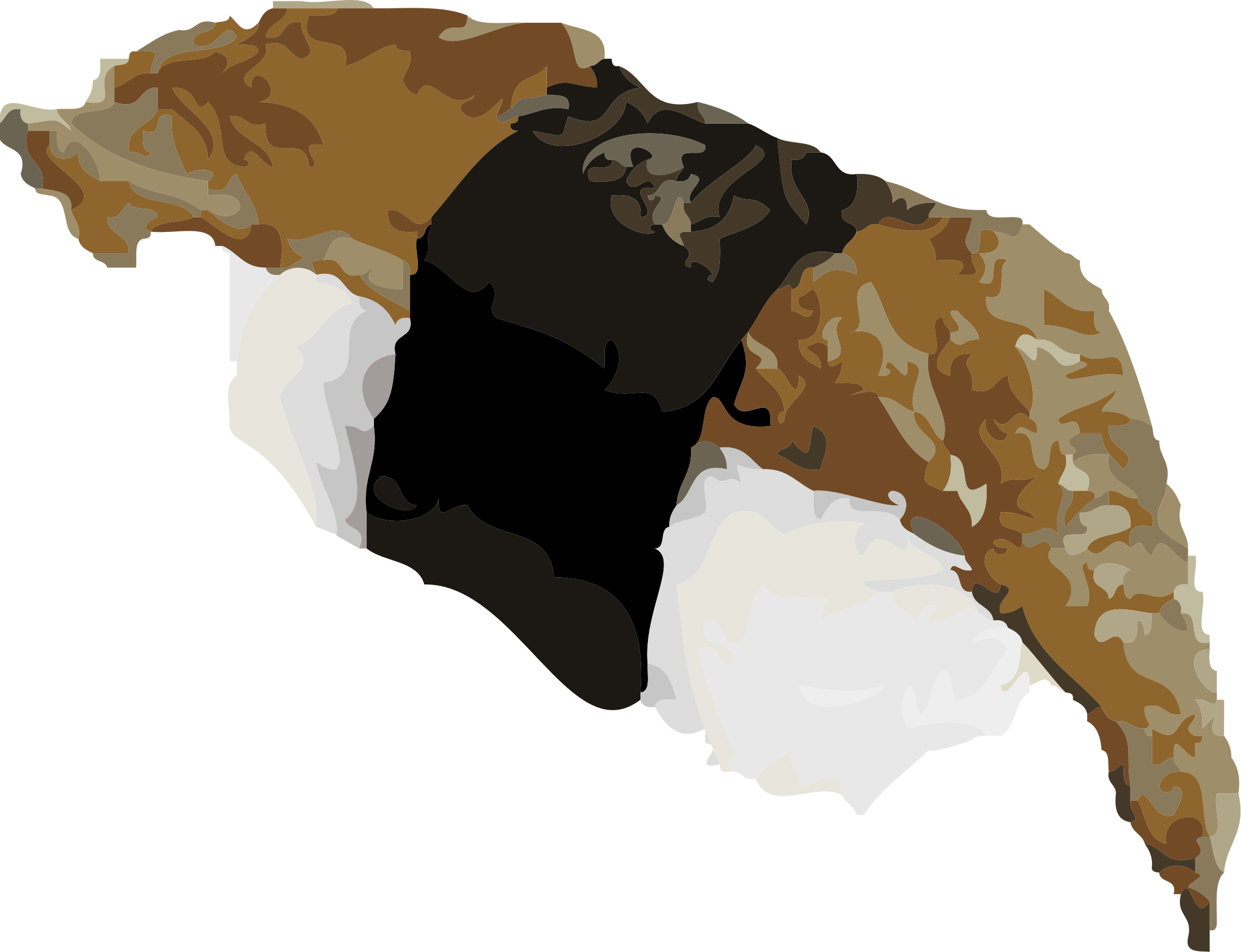 Grilled Eel Sushi Nigiri with Rice and Nori Isolated Transparent PNG Photo