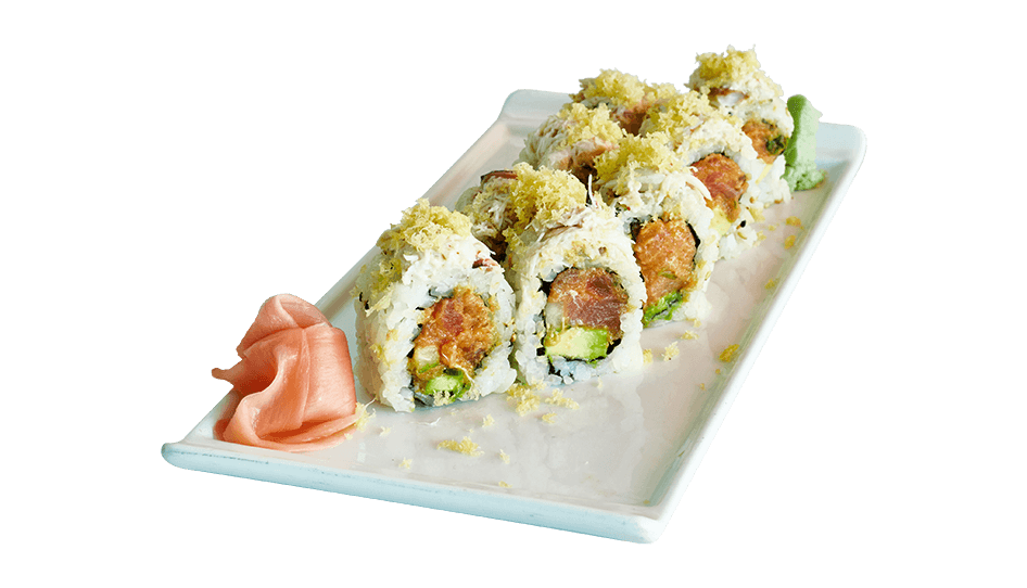 Assorted Maki Sushi and Fish Rolls on White Platter Transparent PNG Photo