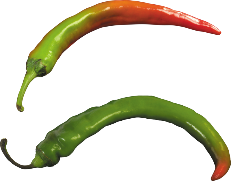 Curved Green Chili Pepper with Orange Red Tip Transparent PNG Vegetable Graphic
