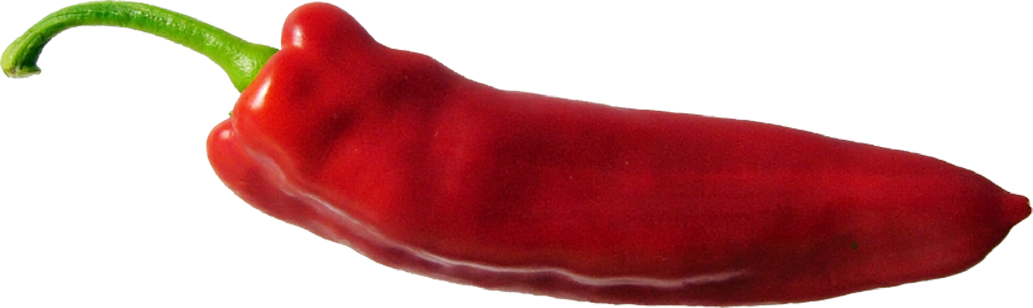 Fresh Red Chili Pepper Isolated on Transparent Background PNG Food Photo