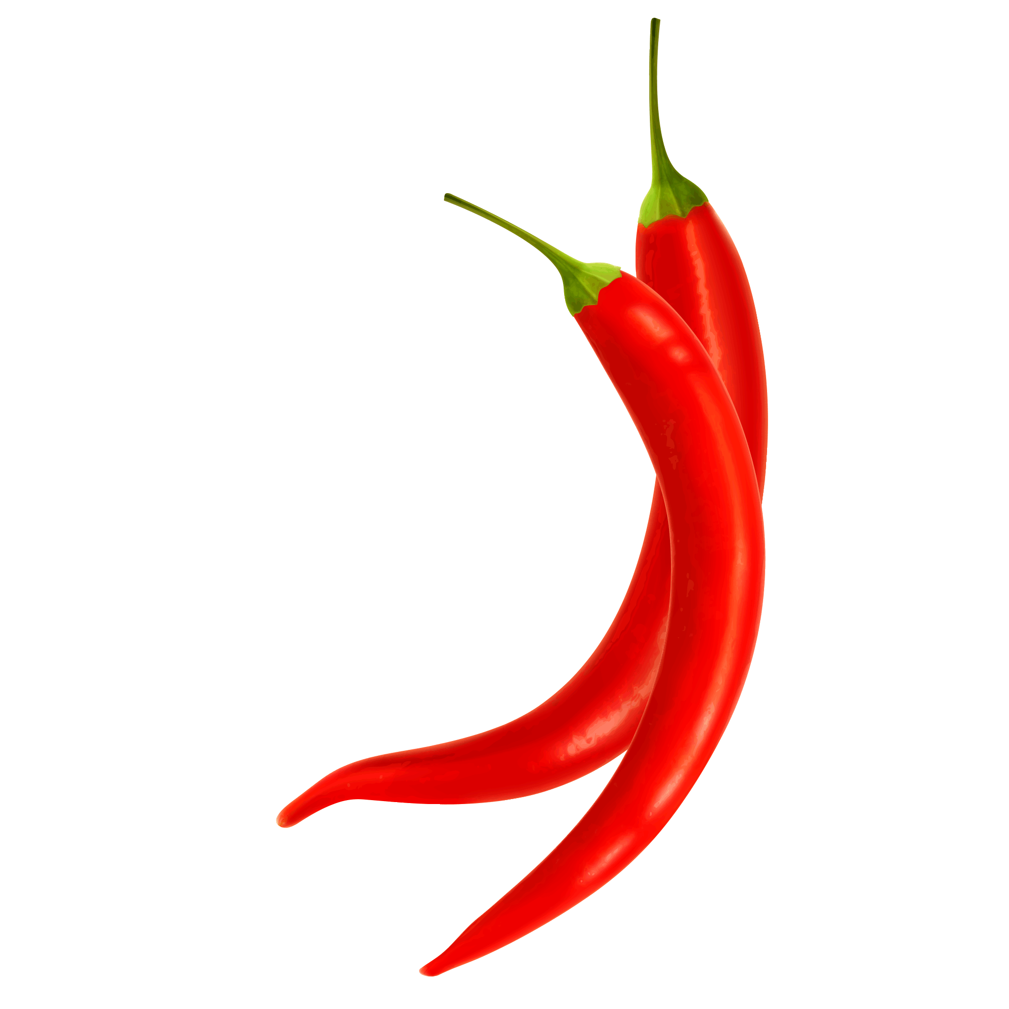 Two Red Chili Peppers with Green Stems Botanical Illustration PNG Cutout