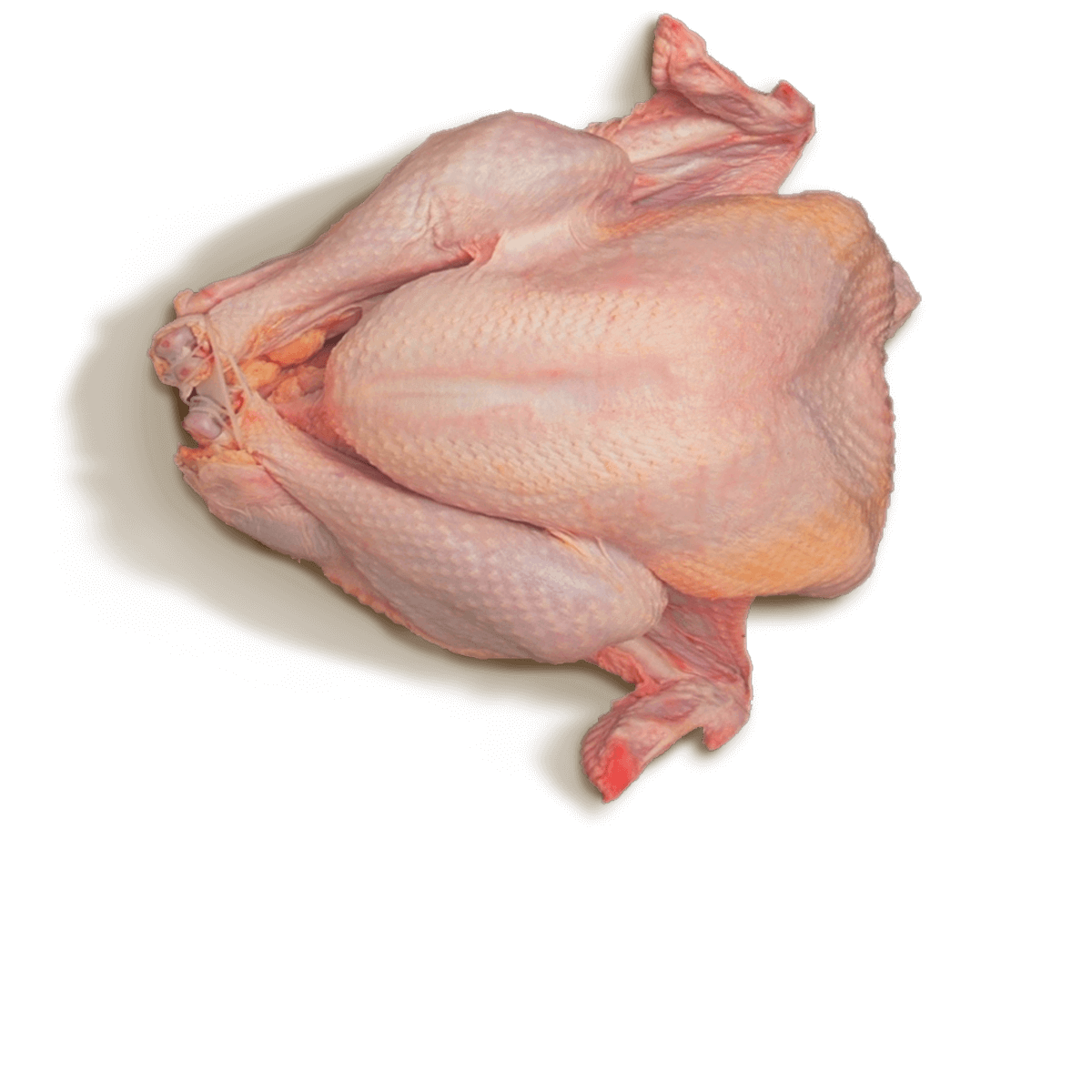 Fresh Raw Turkey Meat Portion Isolated Transparent PNG Food Cutout Image