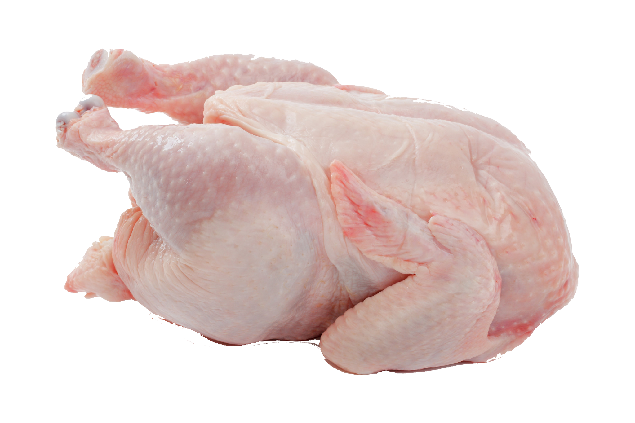 Fresh Raw Whole Turkey Meat Isolated on Transparent Background PNG Image
