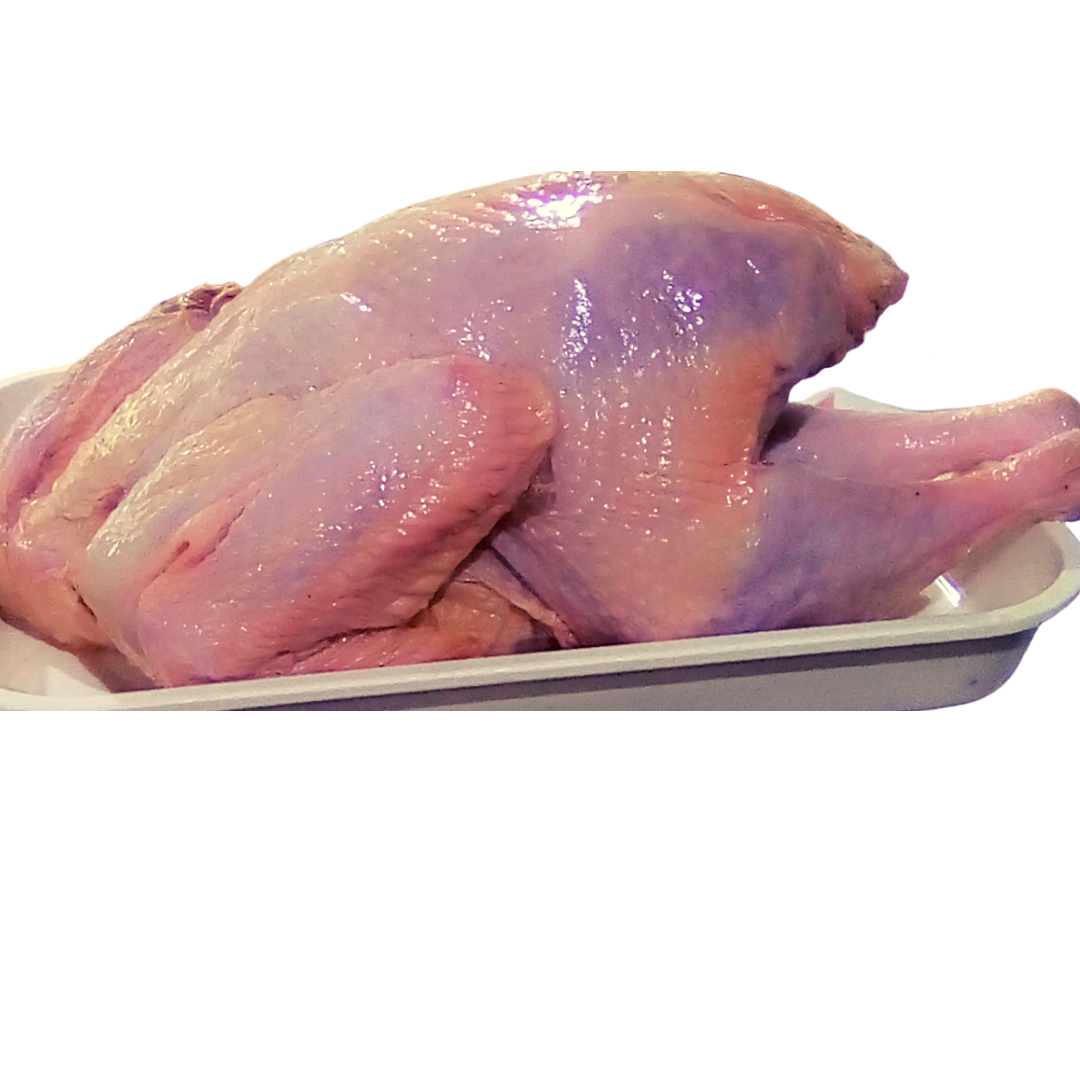 Raw Whole Turkey Meat on White Tray Isolated Transparent PNG Image