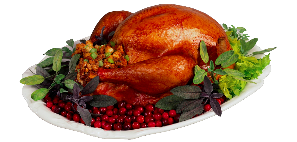 Roast Turkey Dinner with Cranberries Vegetables and Greens on Plate PNG Photo
