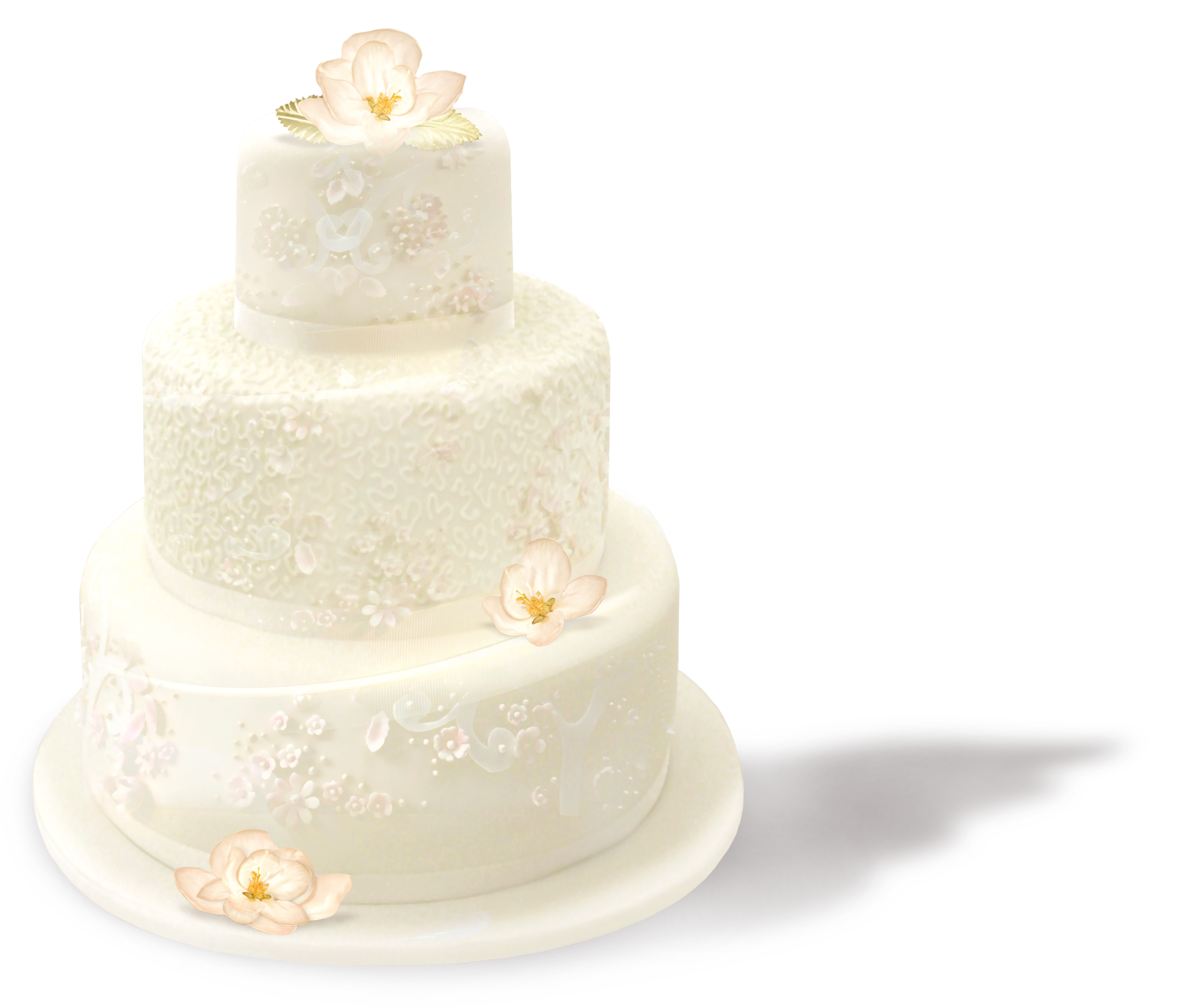 Simple White Tiered Cake with Tiny Colored Flower Decorations PNG Food Photo