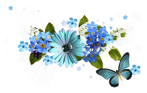 Blue Daisy Flower Cluster With Butterfly And White Lace Decorative PNG