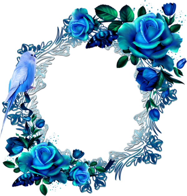 Blue Roses Ornate Frame With Blue Parakeet Bird Vintage PNG Graphic
