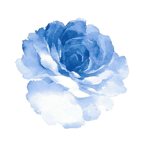 Blue Watercolor Rose Flower Painting Botanical Art PNG