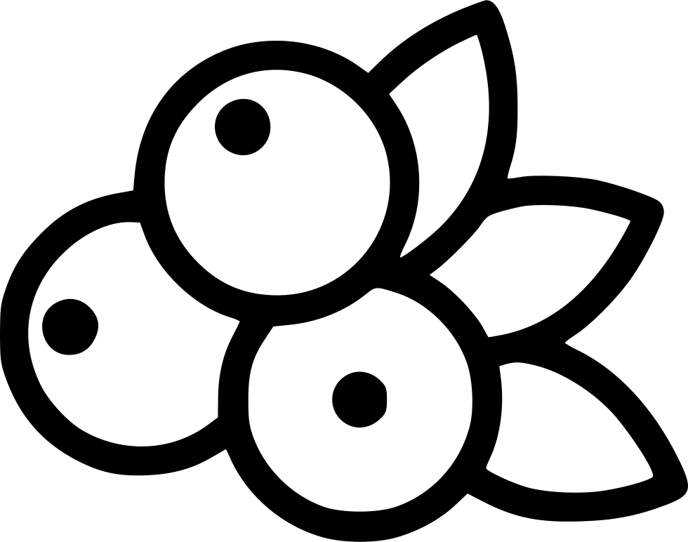 Blueberries Line Icon Outline Black Fruit Symbol PNG Icon