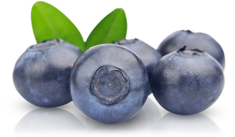 Blueberries With Fresh Leaves Group Shot PNG
