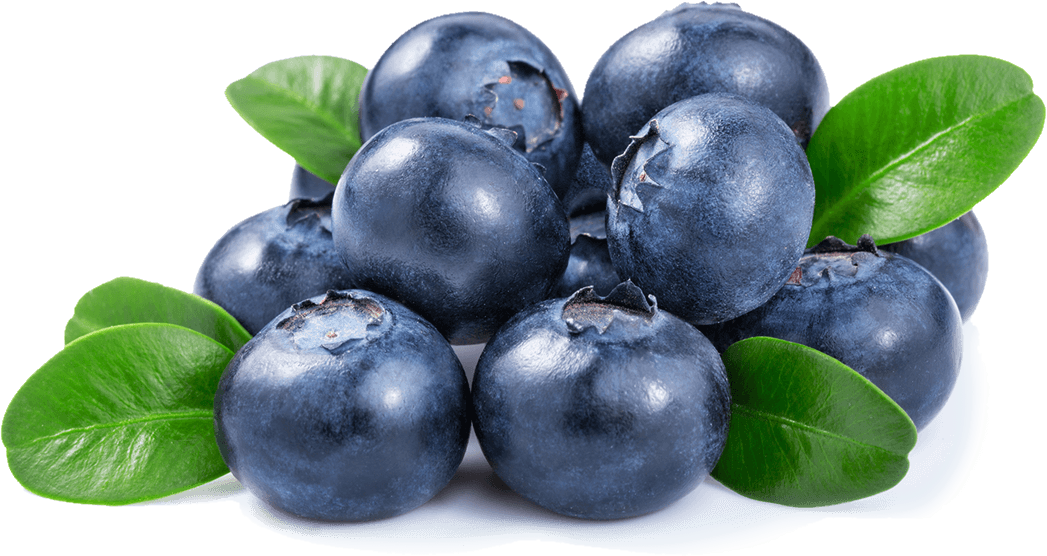 Bunch Of Blueberries With Leaves Fresh Fruit PNG Sticker