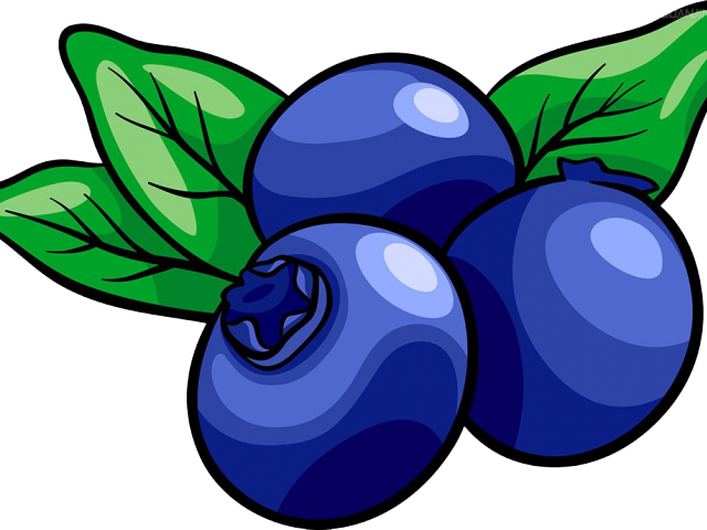 Cartoon Blueberries With Leaves Bold Outline Clipart PNG