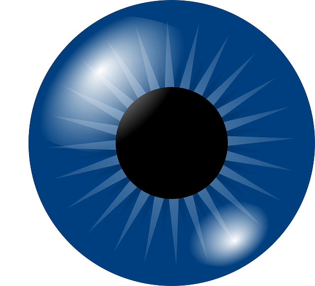 Dark Blue Cartoon Iris With Light Rays Eyeball Transparent Background PNG Image