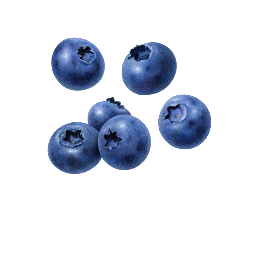 Six Glossy Blueberries with Crowned Tops