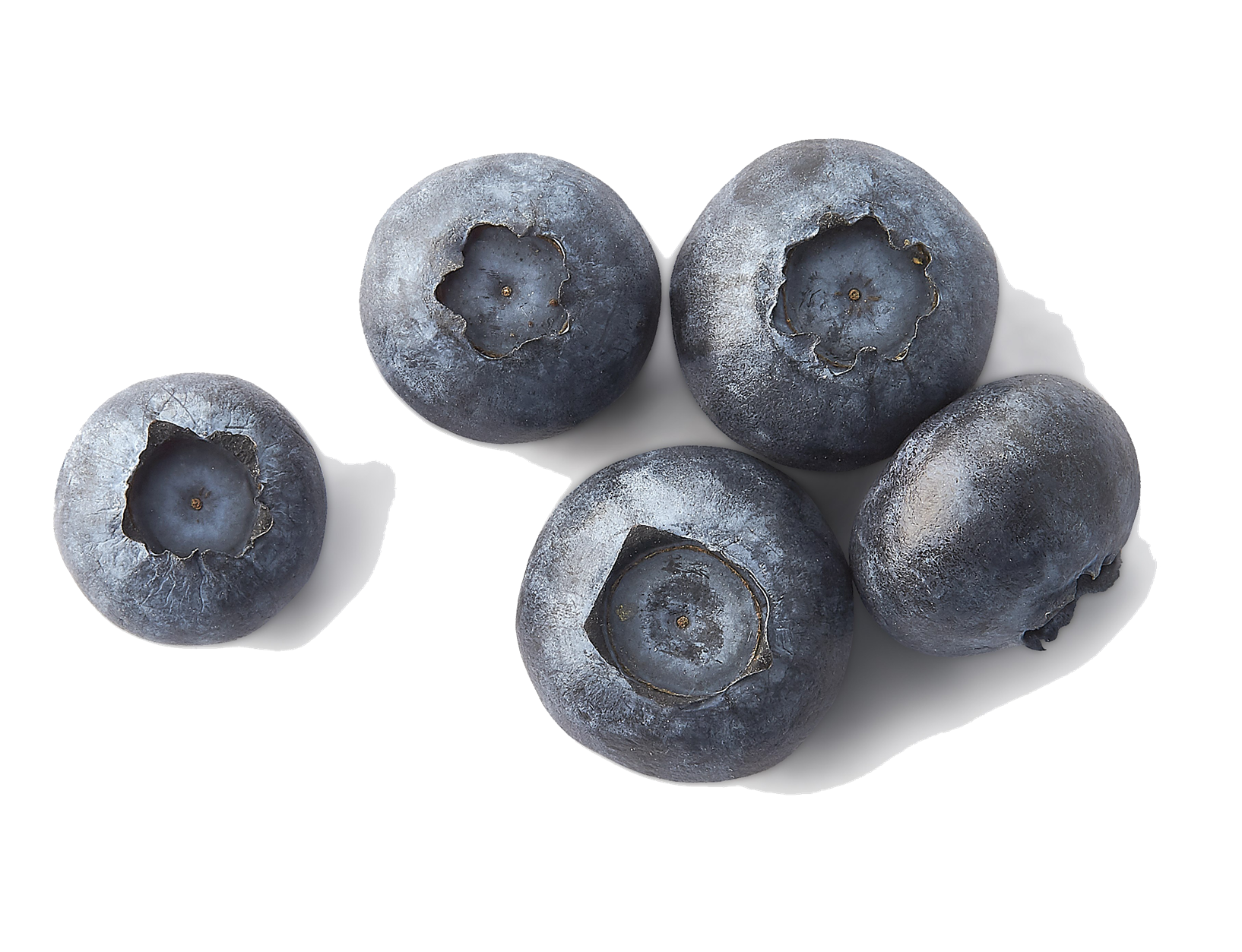Five Dusty Blueberries with Crowned Tops