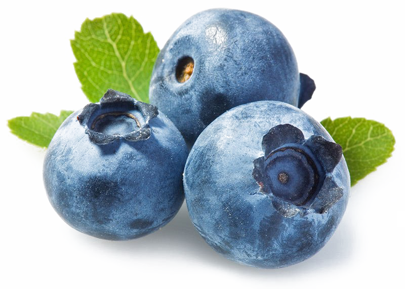 Dusty Blue Blueberries with Fresh Green Leaves
