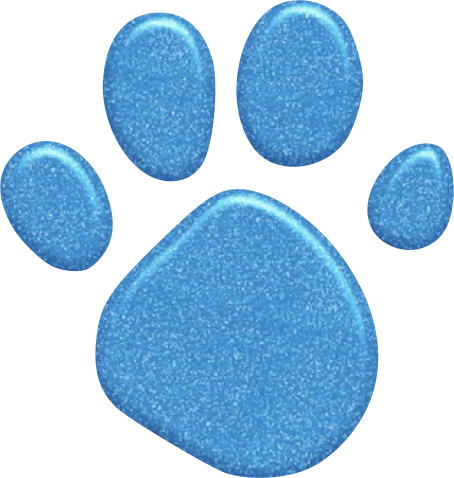 Glittery Blue Paw Print with Raised 3D Edges