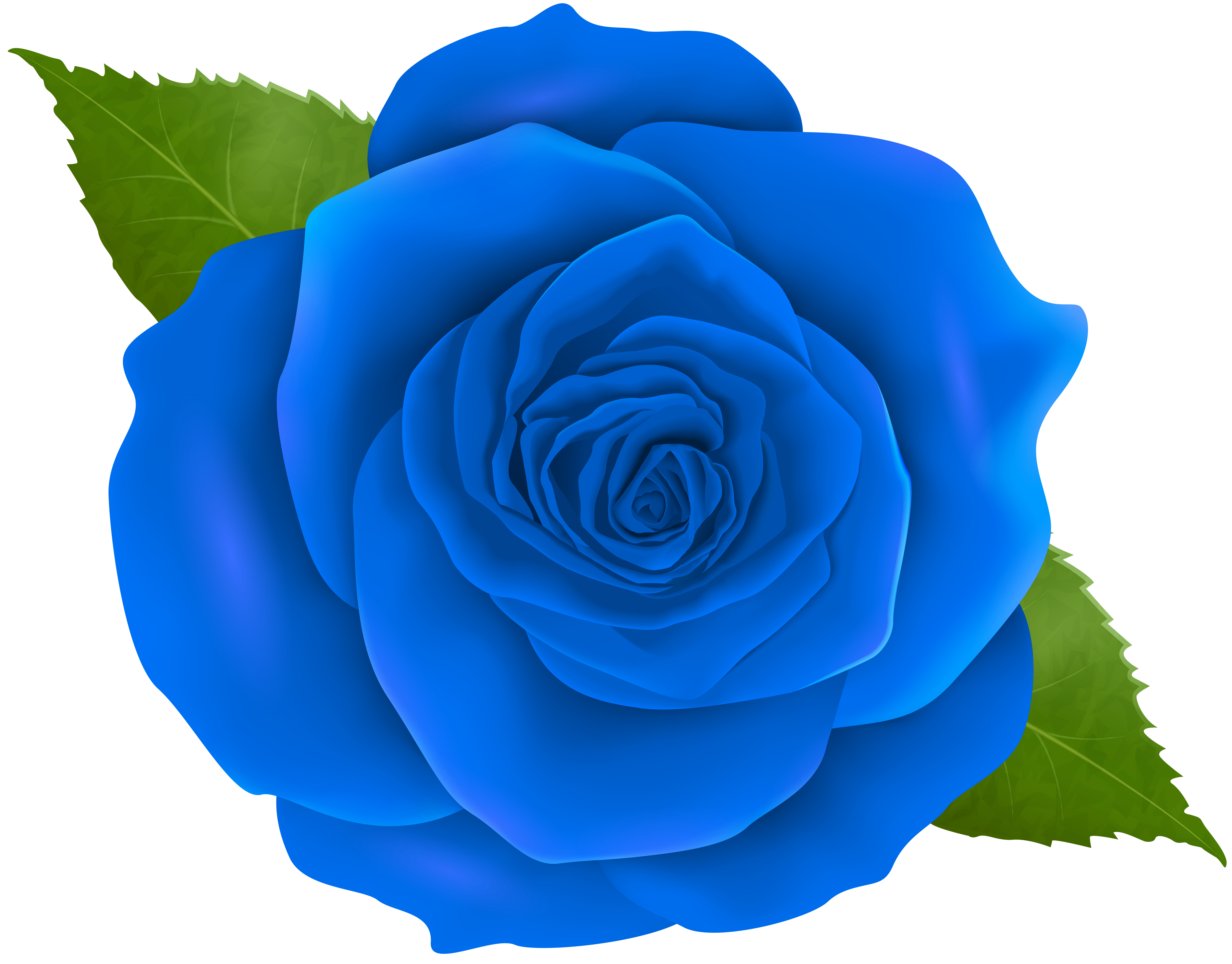 Blue Rose with Green Leaves Illustration