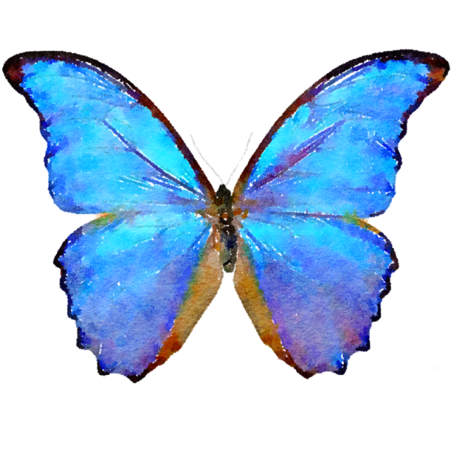 Watercolor Blue Morpho Butterfly with Brown Edges