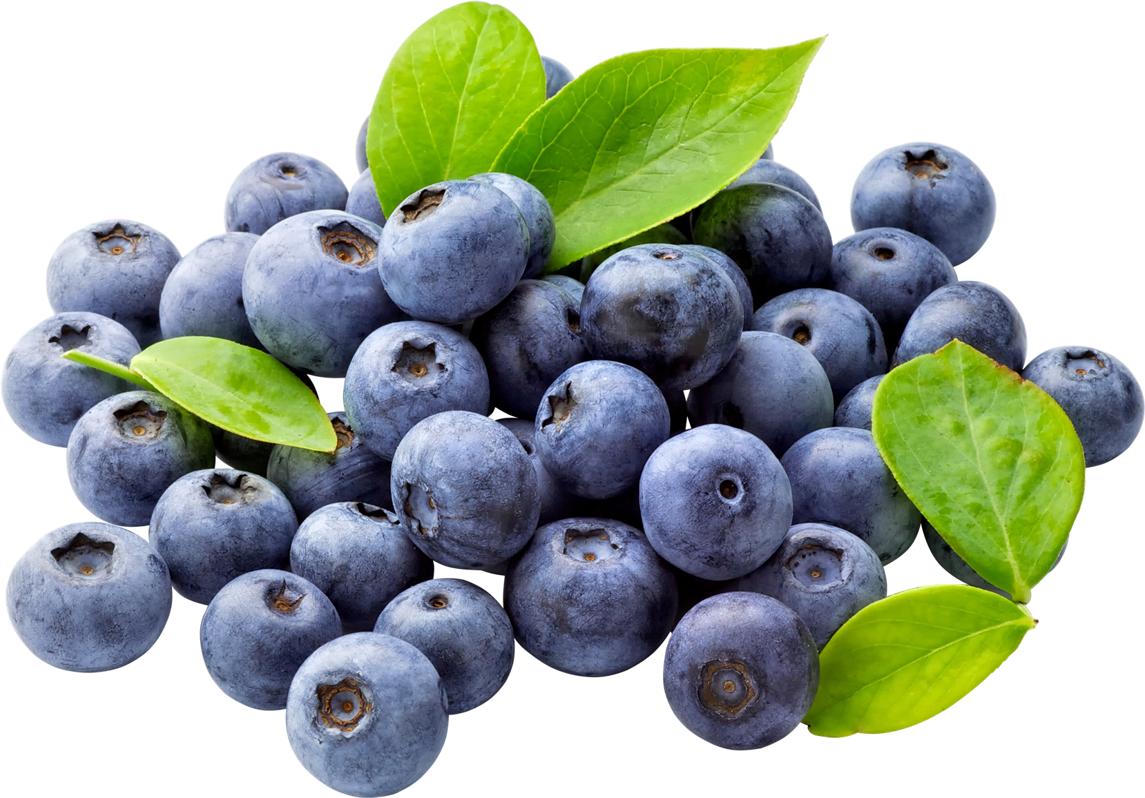 Fresh Blueberry Pile with Green Leaves