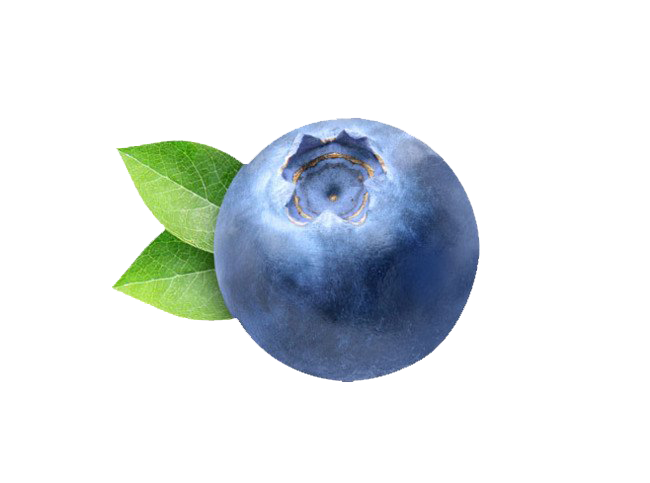 Fresh Blueberry with Green Leaves