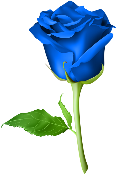 Royal Blue Rose with Long Green Stem
