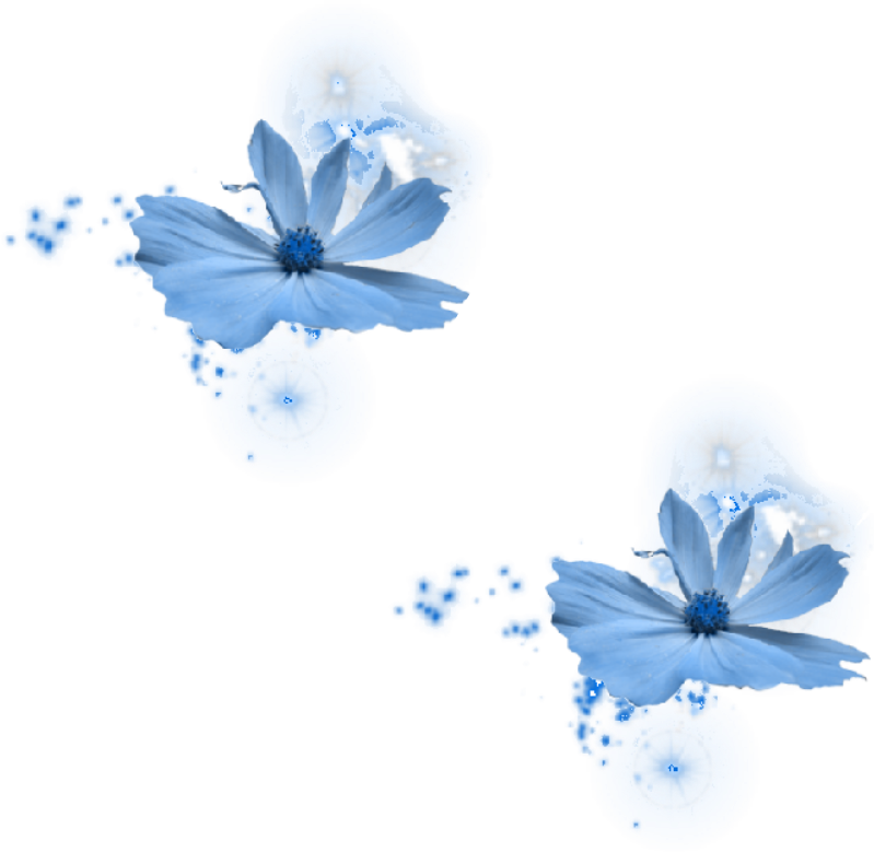Soft Blue Cosmos Flowers with Glowing Sparkles