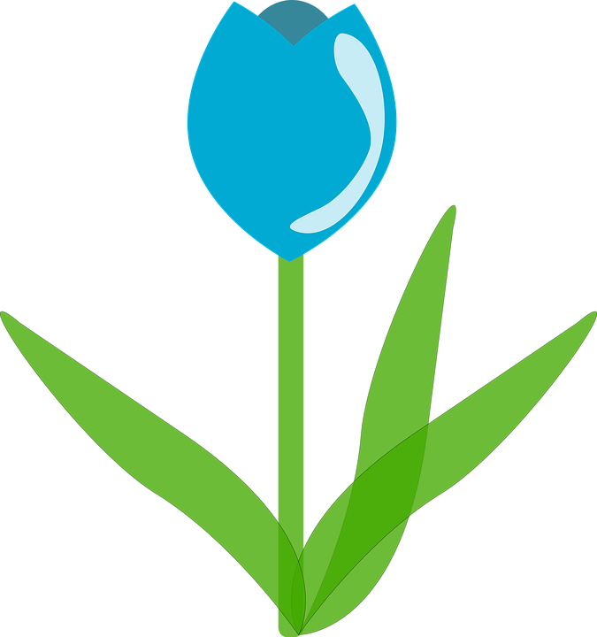 Blue Cartoon Tulip with Green Leaves