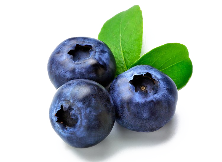 Fresh Blueberries with Green Leaves