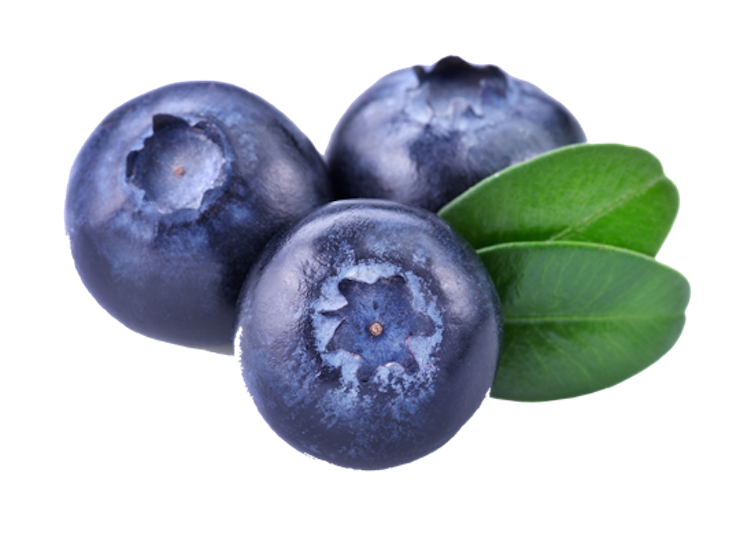 Three Fresh Blueberries with Green Leaves