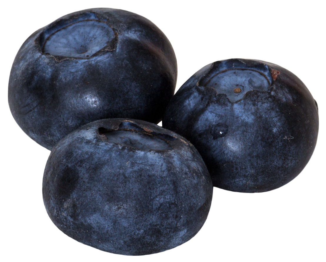 Three Dark Blueberries with Dusty Bloom