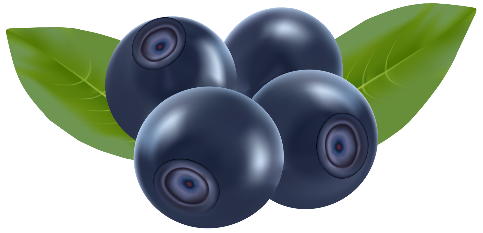 Glossy Blueberries with Green Leaves Illustration