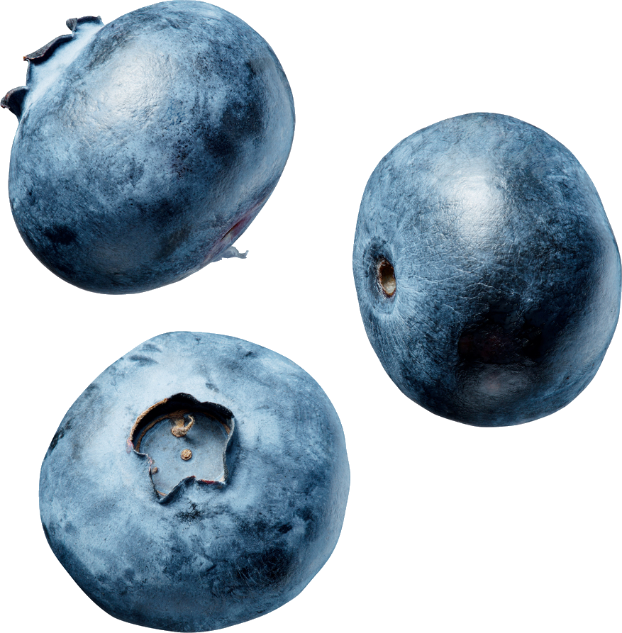 Three Fresh Blueberries with Dusty Bloom