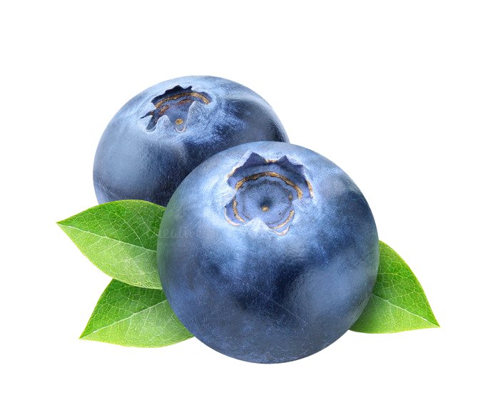 Two Blueberries with Green Leaves