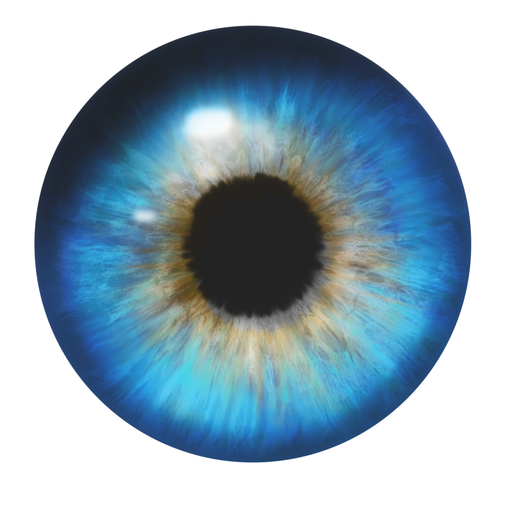 Blue Iris with Amber Center Close-Up