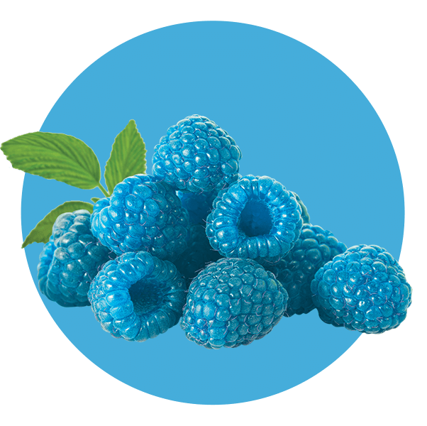 Blue Raspberry Pile with Green Leaves
