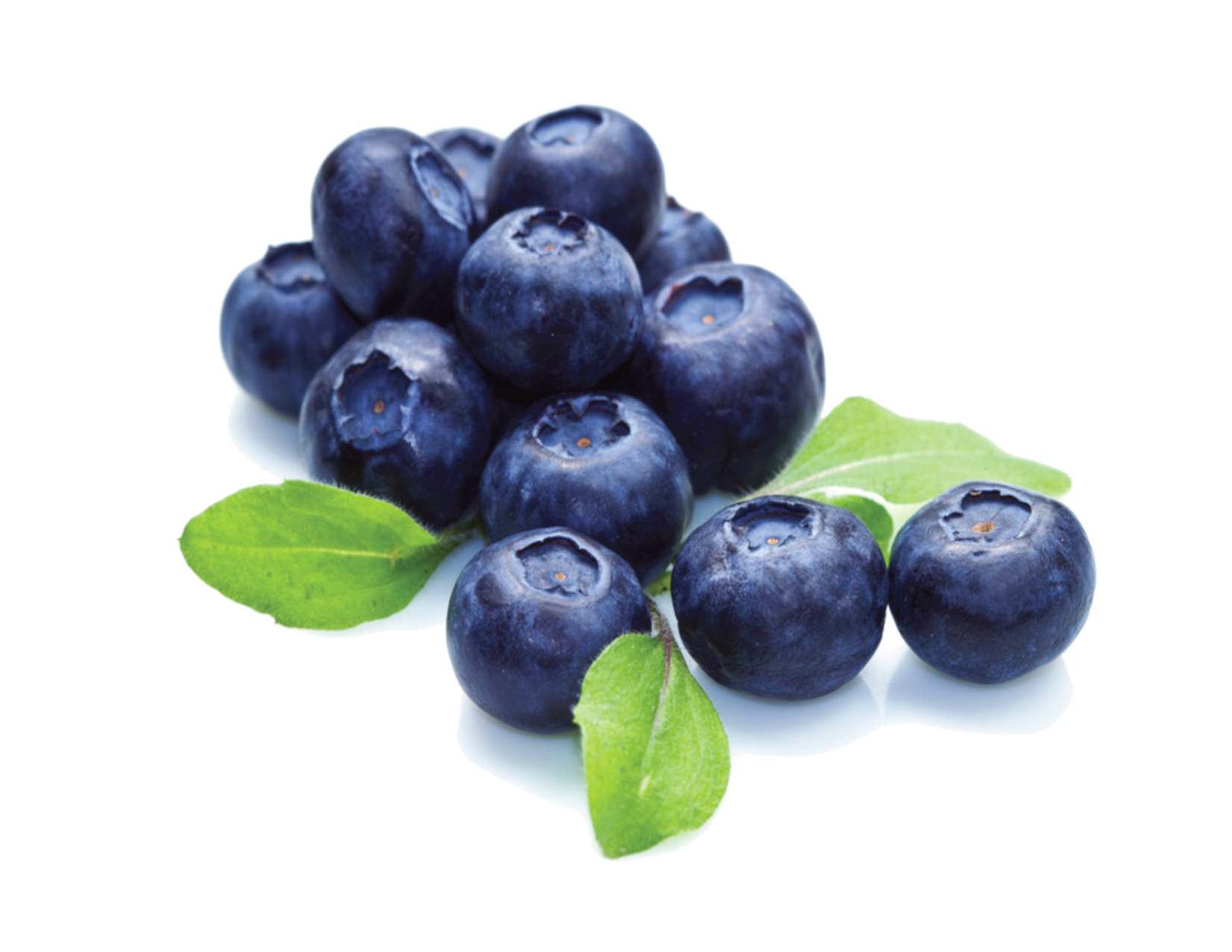 Fresh Blueberry Pile with Green Leaves