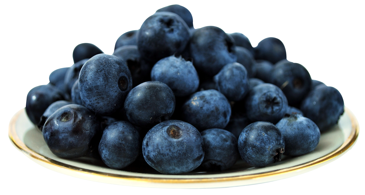 Fresh Blueberries Piled on Gold-Rimmed Plate