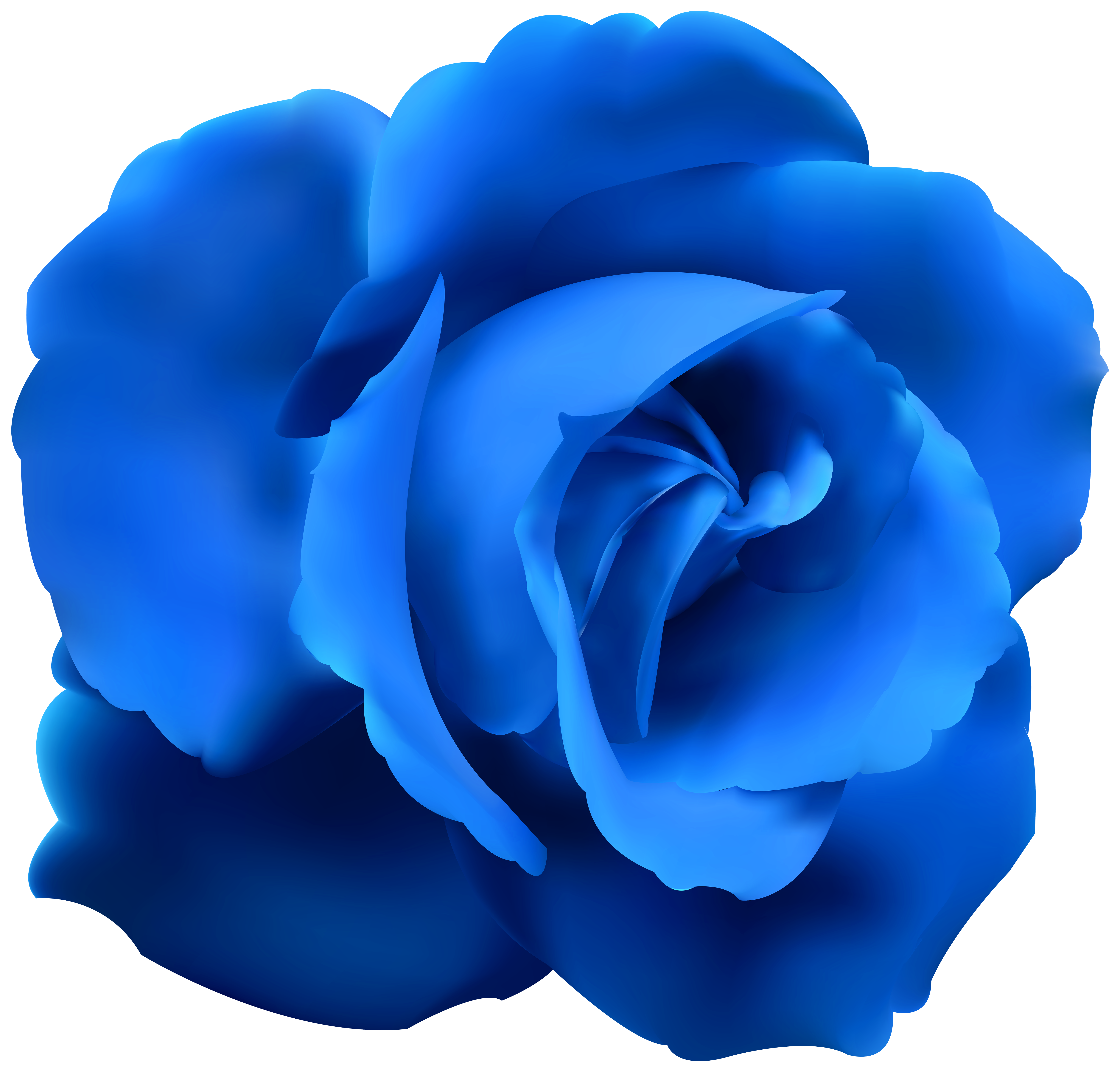 Vivid Blue Rose Bloom in Layered Petals