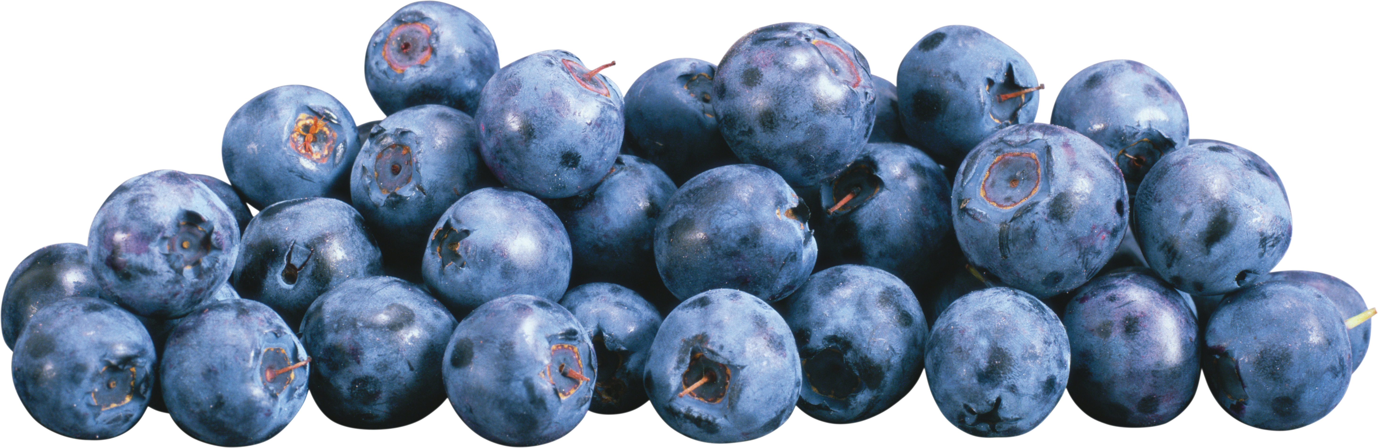 Piled Fresh Blueberries with Dusty Blue Skins
