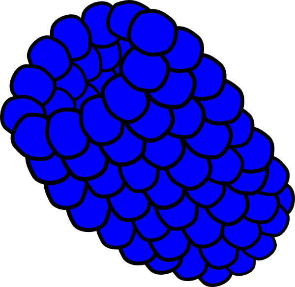 Royal Blue Berry with Bold Black Outlines